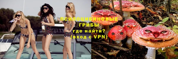 прущая мука Кодинск