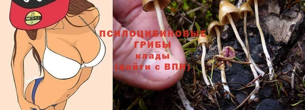 MDMA Premium VHQ Козельск