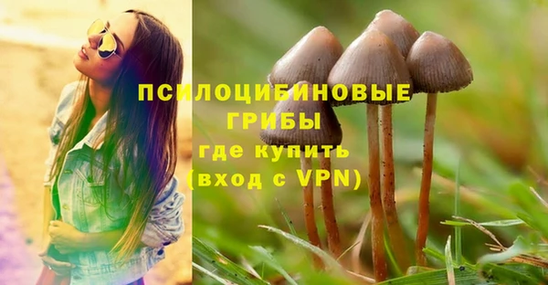 MDMA Premium VHQ Козельск